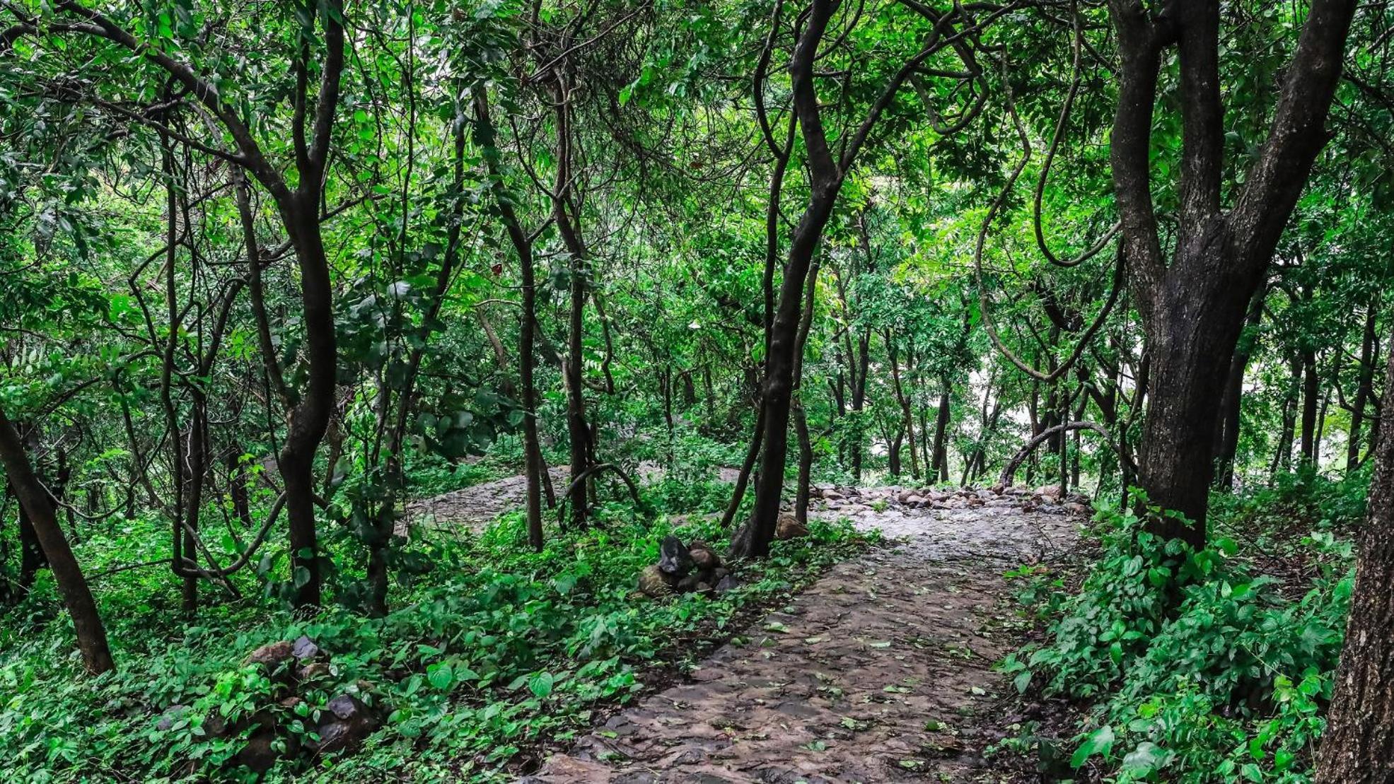 Misty Green Hills Parks & Resorts Kondotty Exterior foto